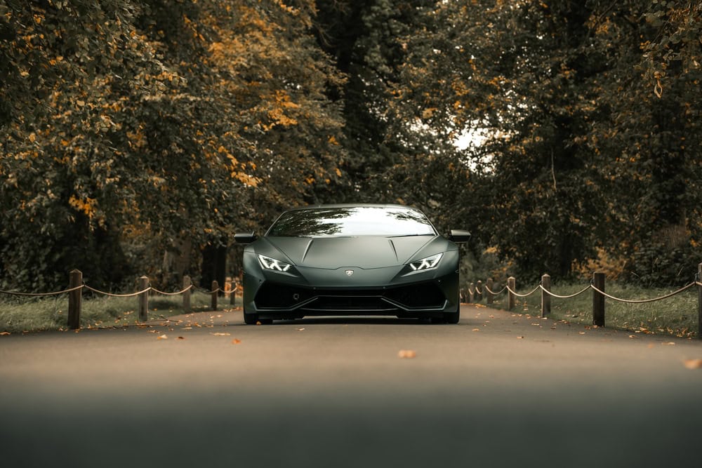 A sleek, black Lamborghini is parked on a paved road in NY, surrounded by lush trees with green and yellow leaves, creating a luxurious and autumnal atmosphere—perfect for those seeking luxury vehicle storage in Nassau & Suffolk County.